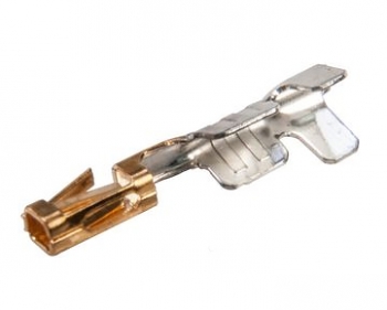 CC79l-2024-01-s